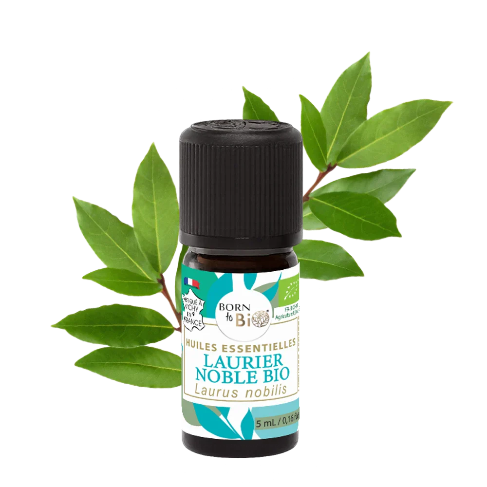 Certified Organic Noble Laurel Essential Oil-0